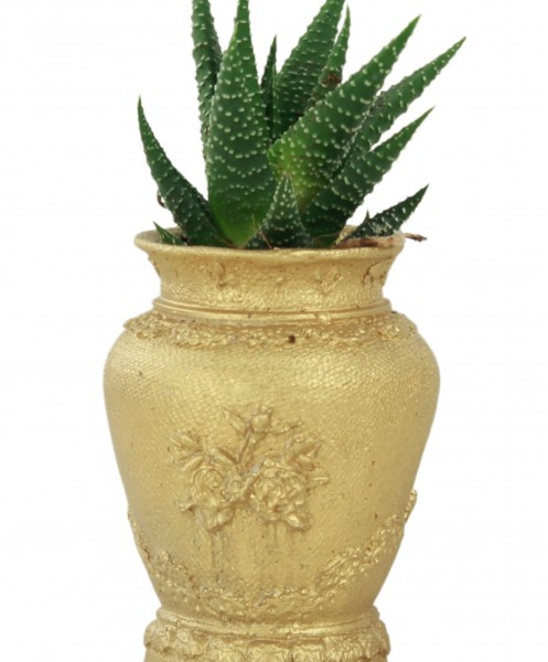 Mini Çiçek Saksı Küçük Sukulent Altın Kaktüs Saksısı Desenli Vazo Model